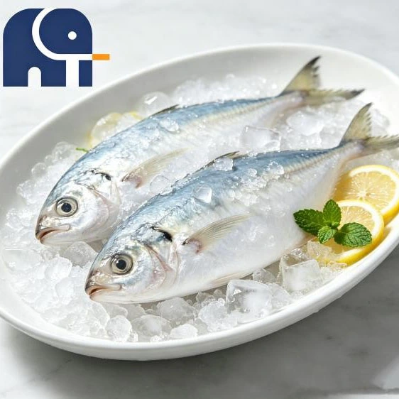 Fresh Processing Indian Mackerel