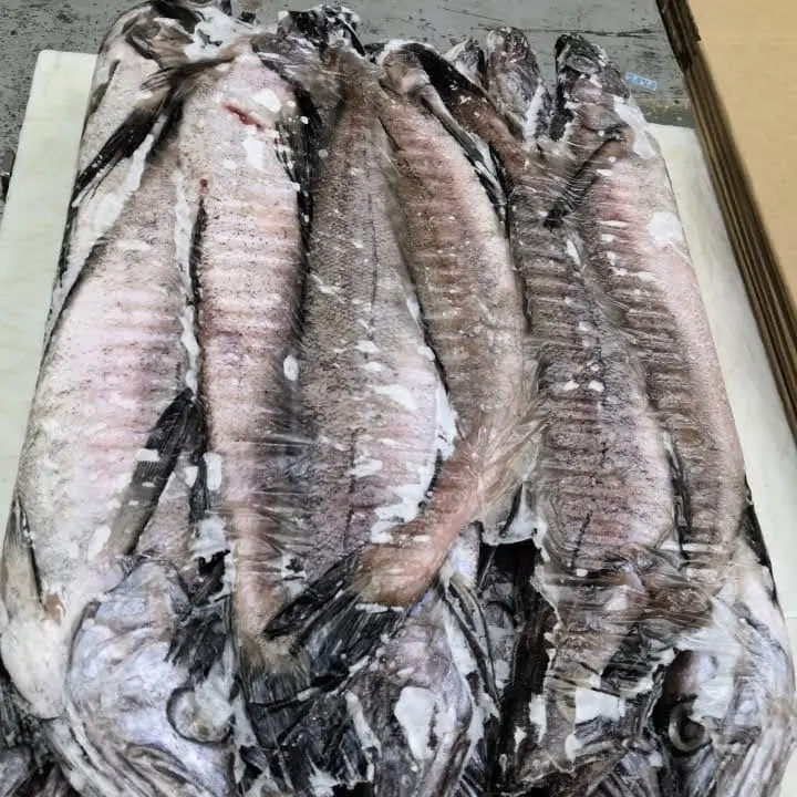 Frozen Hake Whole Round