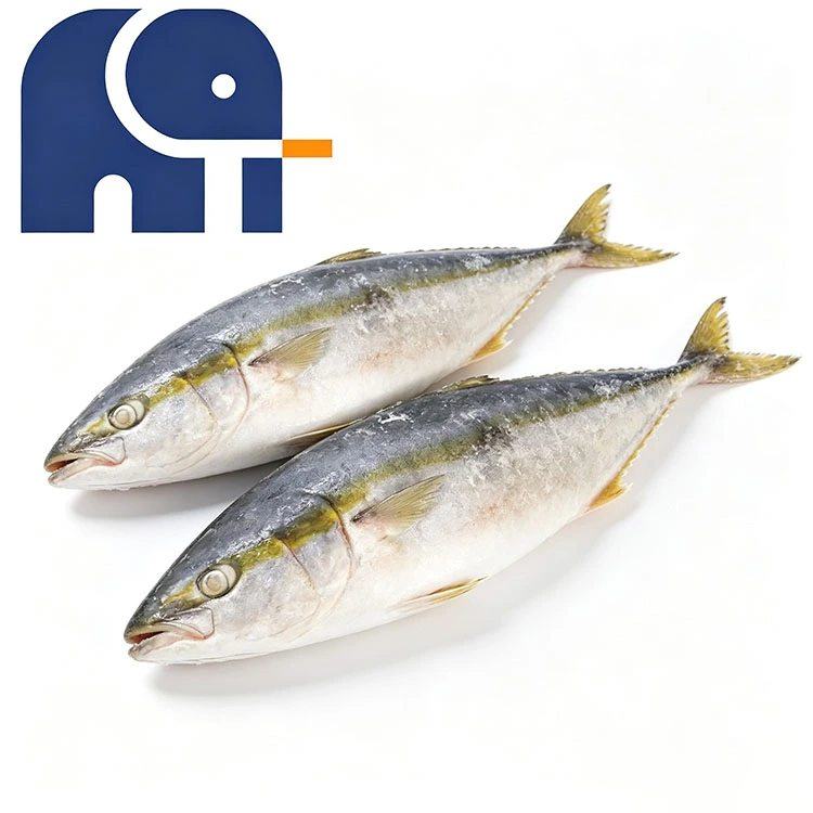 Frozen Yellowtail Whole Round