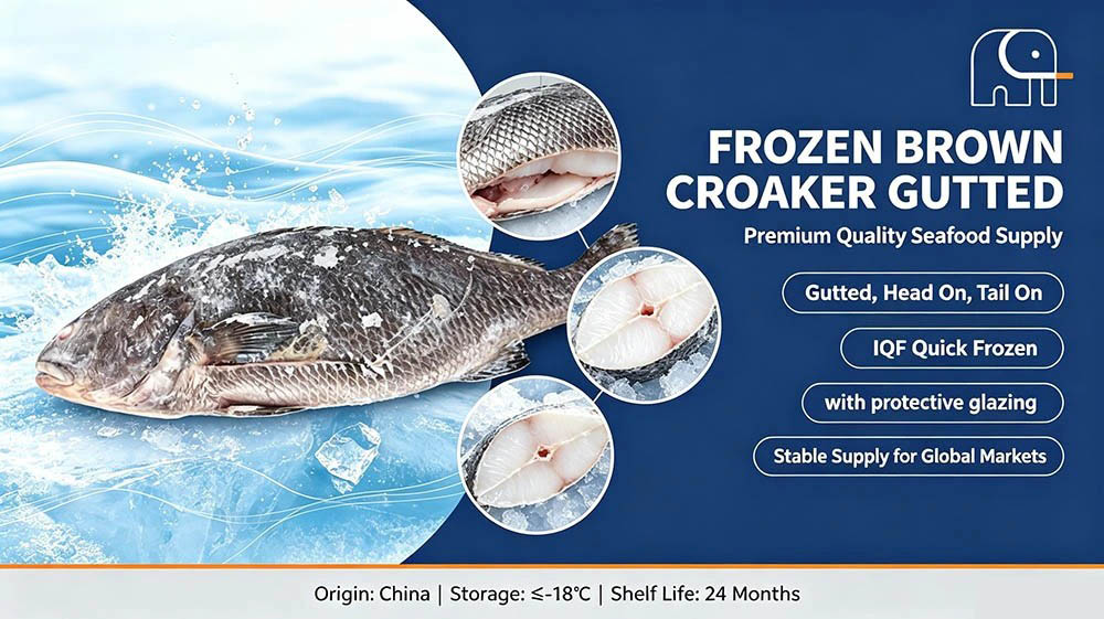 Nutritive Frozen Brown Croaker Gutted