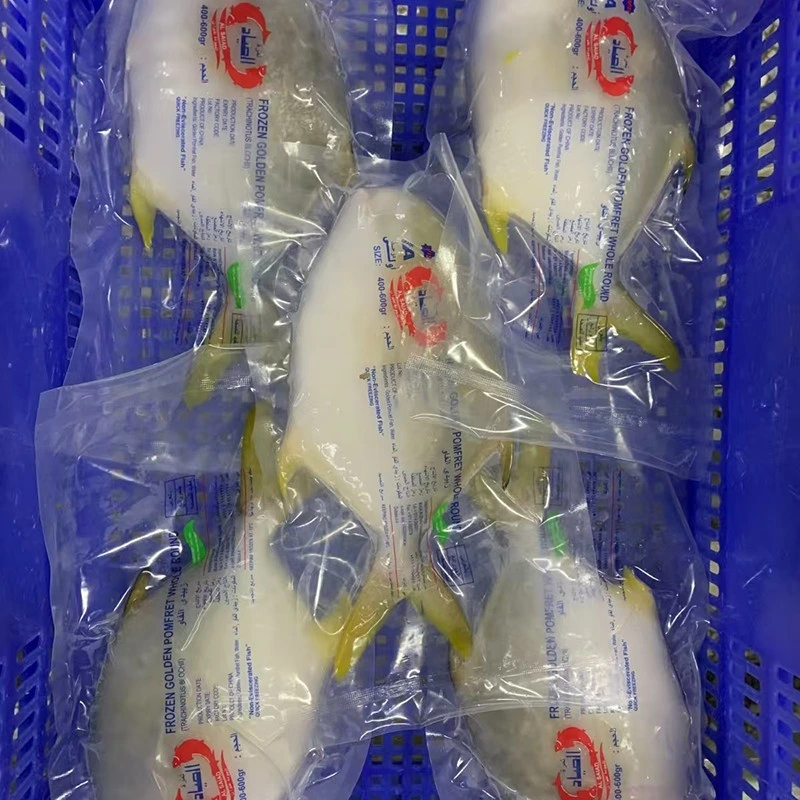 Premium Frozen Golden Pomfret