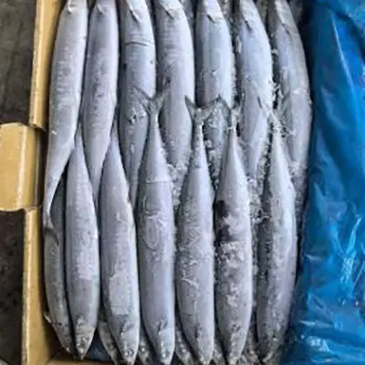 Bqf Sea Frozen Pacific Saury