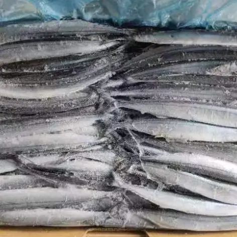 Bqf Sea Frozen Pacific Saury