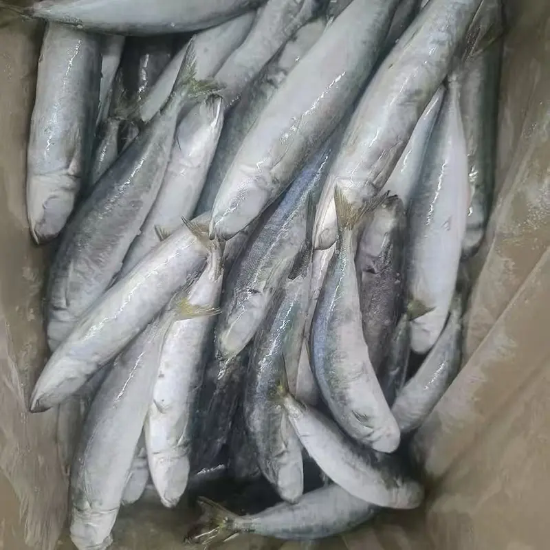 Frozen Layang Scad Whole Round