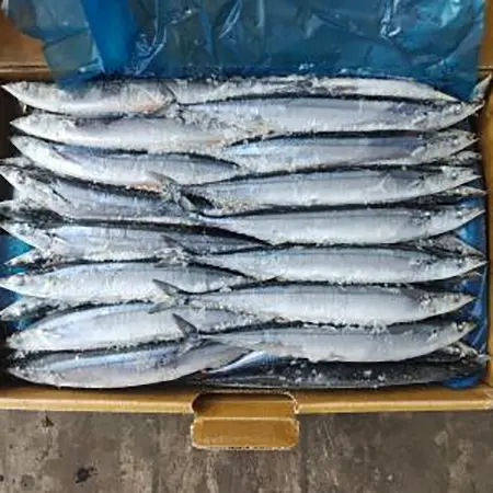High Quality Sea Frozen Pacific Saury