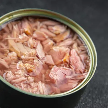 High Qualiy Canned Tuna