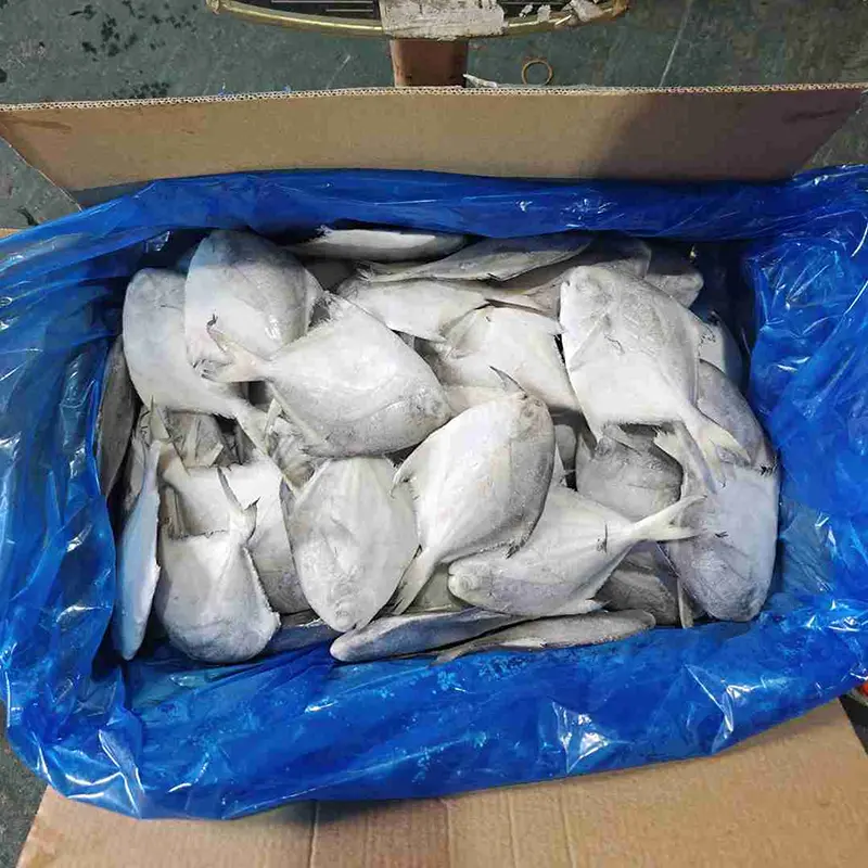 Premium Carton White Pomfret Whole Round Premium Carton White Pomfret Whole Round