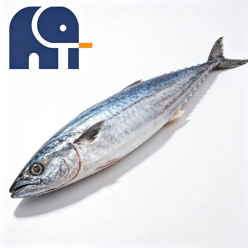 Premium Frozen Spanish Mackerel