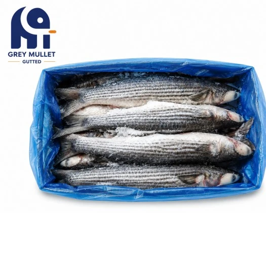 Refined processing Frozen Grey Mullet Gutted