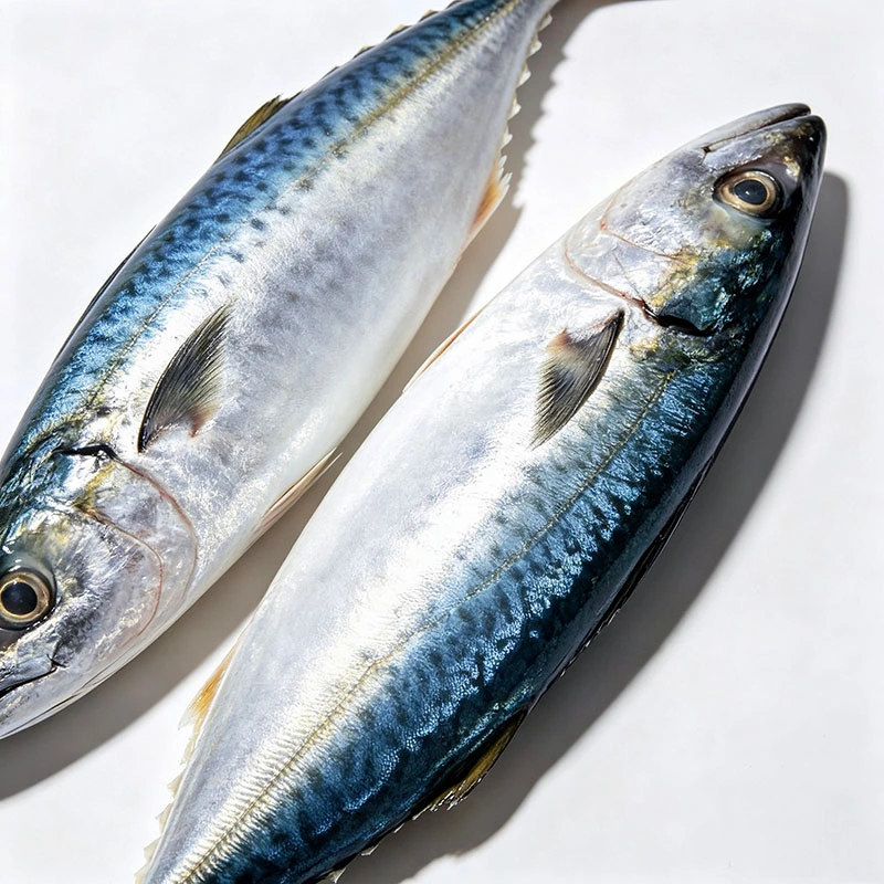 Wild Caught Pacific Mackerel