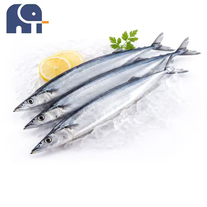 Winter Frozen Pacific Saury Whole Round